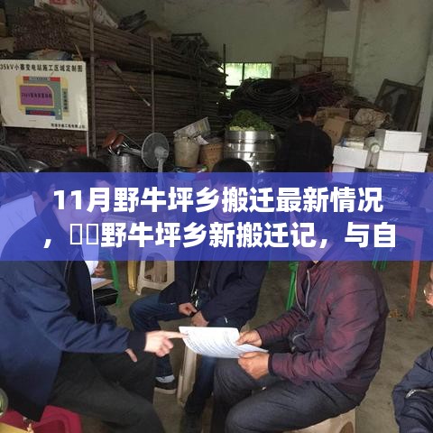 野牛坪鄉(xiāng)搬遷最新動(dòng)態(tài)，與自然共舞的新生活啟程