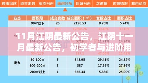 江陰十一月最新公告發(fā)布，初學(xué)者與進(jìn)階用戶指南詳解