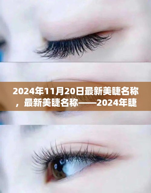 最新美睫名稱揭秘，2024年睫毛美學(xué)的革命性變革