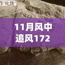 揭秘，風(fēng)中追風(fēng)最新裝備的時(shí)代地位與影響，逐風(fēng)而行，價(jià)值高達(dá)172萬(wàn)裝備重磅登場(chǎng)！