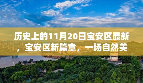 寶安區(qū)新篇章啟程，探尋自然美景之旅，溫暖陽光下的寶安區(qū)探尋日（11月20日）