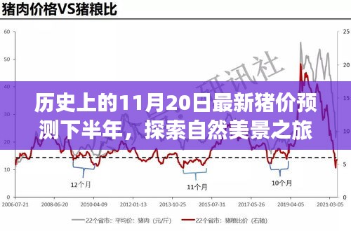 歷史上的11月20日豬價(jià)預(yù)測(cè)與心靈寧?kù)o尋覓之旅，自然美景探索
