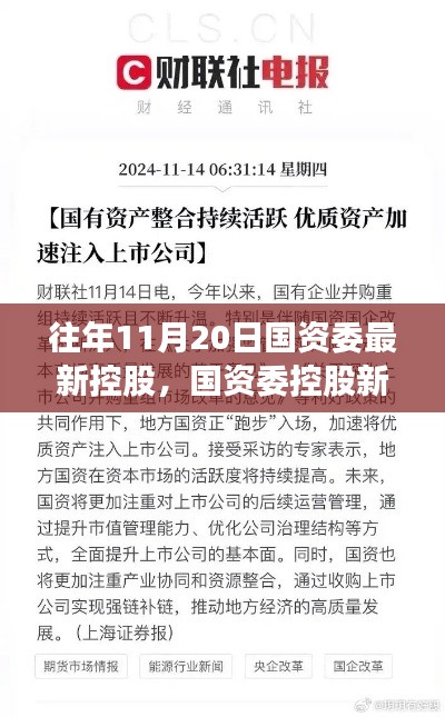 揭秘，國資委控股新紀元背后的重磅事件與影響，歷年11月20日的回顧與展望