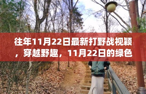 往年11月22日最新打野戰(zhàn)視穎，穿越野趣，11月22日的綠色冒險之旅，尋找內(nèi)心的寧靜與平和