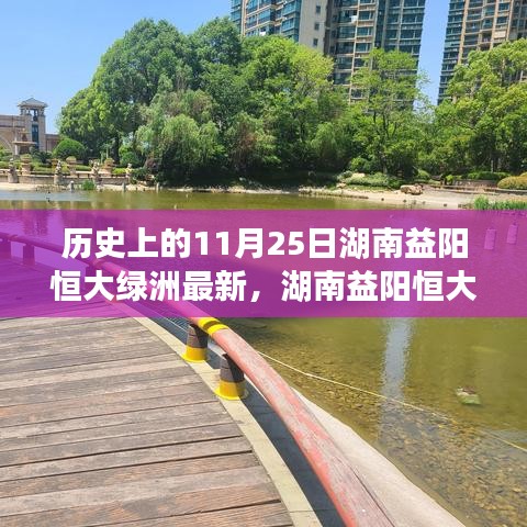 湖南益陽恒大綠洲項(xiàng)目深度解讀，最新進(jìn)展與全面剖析報告（11月25日）
