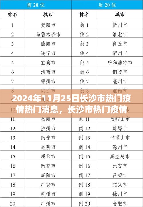 長(zhǎng)沙市疫情動(dòng)態(tài)，熱門(mén)消息下的公眾關(guān)注焦點(diǎn)與個(gè)人觀點(diǎn)探討（2024年11月25日）