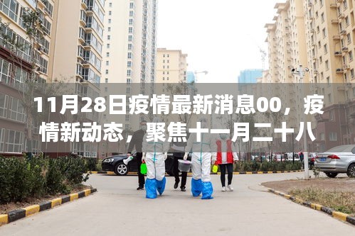 聚焦全球疫情動態(tài)，十一月二十八日最新進展與影響分析