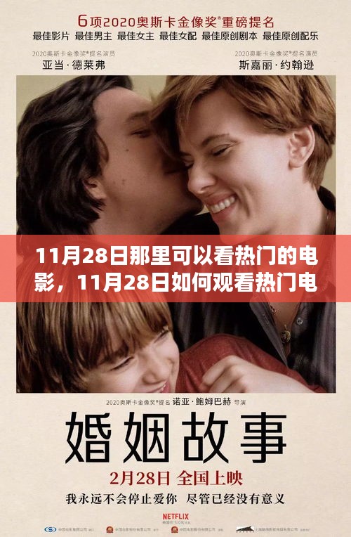 11月28日觀看熱門電影全攻略，觀影地點與步驟指南