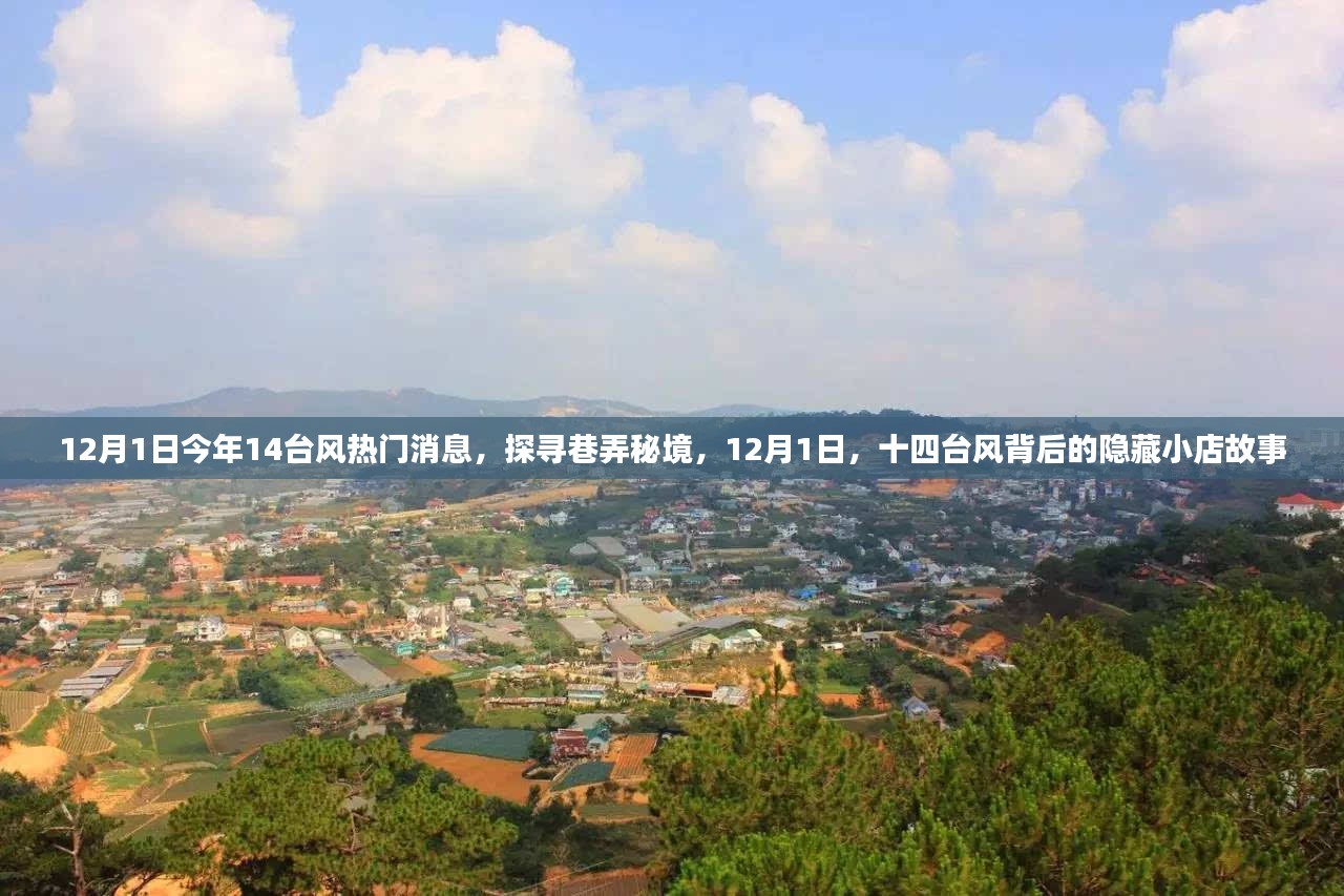 揭秘臺(tái)風(fēng)背后的隱藏小店故事，探尋巷弄秘境，臺(tái)風(fēng)熱門消息一覽