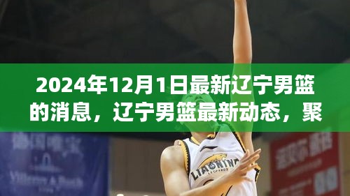 2024年12月1日遼寧男籃最新動態(tài)與賽場風(fēng)云聚焦