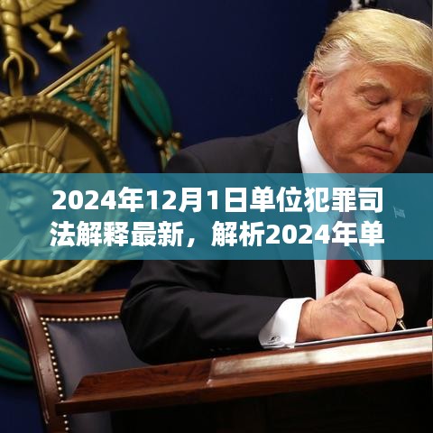 深度解析，2024年單位犯罪司法解釋最新動態(tài)及三大要點探討