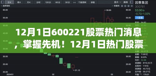 揭秘股市風(fēng)云，以600221股票為例，洞悉股市動(dòng)態(tài)與先機(jī)