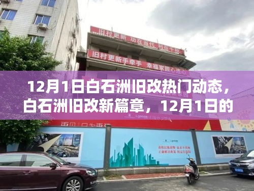 白石洲舊改新篇章，12月1日的日常與友情印記，熱議動(dòng)態(tài)揭秘