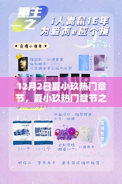 夏小玖熱門章節(jié)探析與個人立場闡述，12月2日之我見