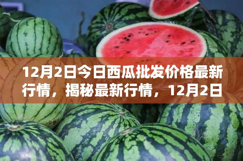 揭秘最新行情，深度解析12月2日西瓜批發(fā)價(jià)格走勢(shì)及最新行情