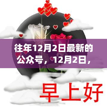 公眾號里的溫馨日常故事，友情、家庭與愛的紐帶紐帶（12月2日更新）
