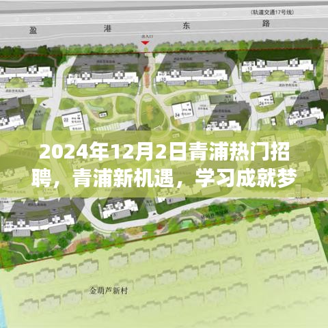 2024年12月2日青浦熱門招聘啟幕，新機(jī)遇助力學(xué)習(xí)成就夢(mèng)想
