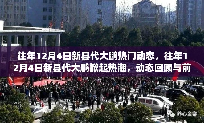 往年12月4日新縣代大鵬，熱門動態(tài)回顧與未來前瞻，掀起熱潮的焦點(diǎn)時(shí)刻
