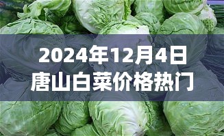 唐山白菜情緣，冬日蔬菜市場的溫情故事與白菜價格行情解析
