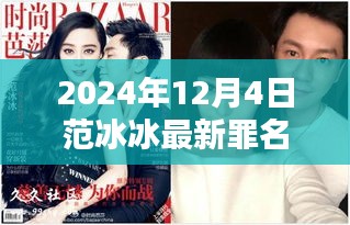 范冰冰最新罪名揭秘，光環(huán)背后的波折與影響分析（時(shí)間，2024年）