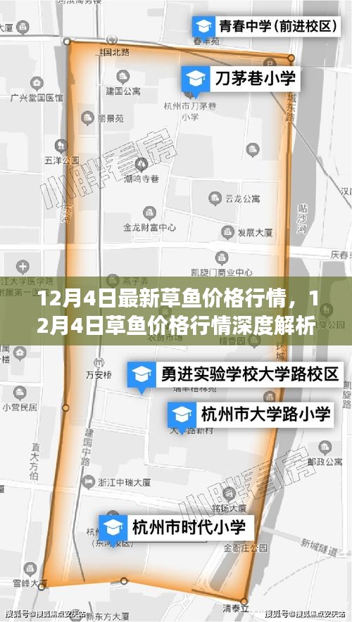 12月4日草魚價(jià)格行情解析，市場走勢、影響因素及選購指南