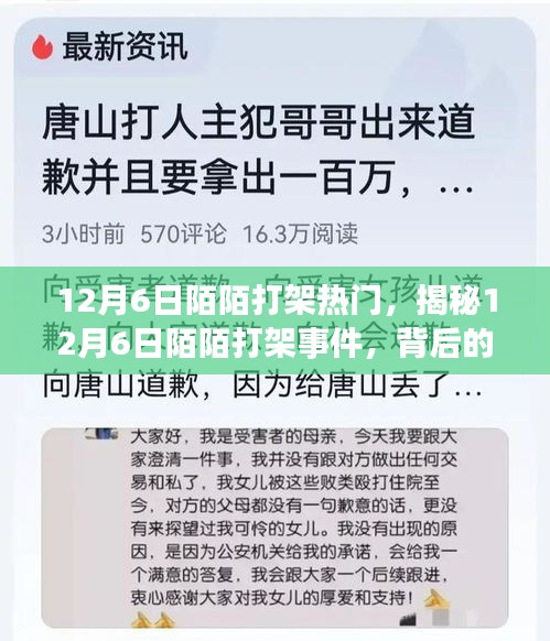 揭秘，12月6日陌陌打架事件背后的原因與影響熱議風(fēng)潮