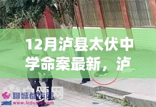 瀘縣太伏中學(xué)命案最新科技進展，智能安防系統(tǒng)重塑校園安全新篇章