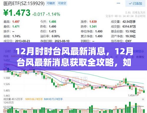 12月臺風最新消息全攻略，如何跟進動態(tài)，獲取實時信息