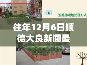 順德大良歷年十二月六日新聞回顧與影響深度探析，最新消息一覽