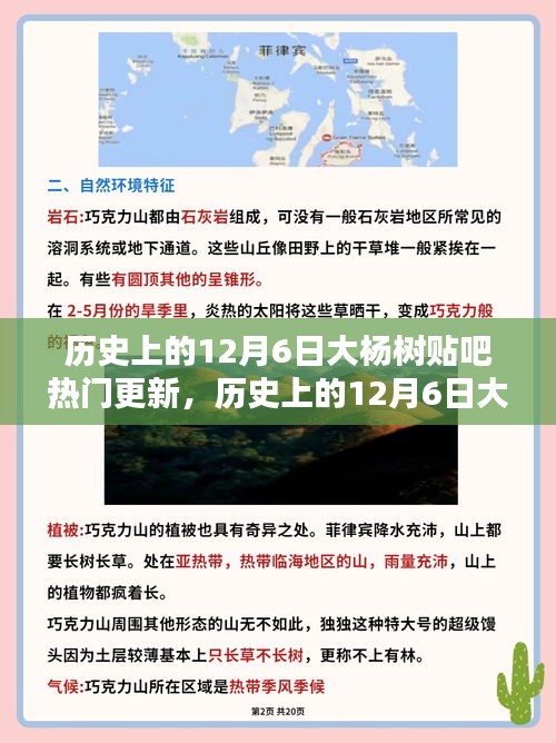 歷史上的12月6日大楊樹(shù)貼吧熱門(mén)更新，深度分析與觀點(diǎn)闡述