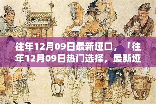 往年12月09日最新埡口產(chǎn)品評(píng)測(cè)與介紹，熱門選擇詳解