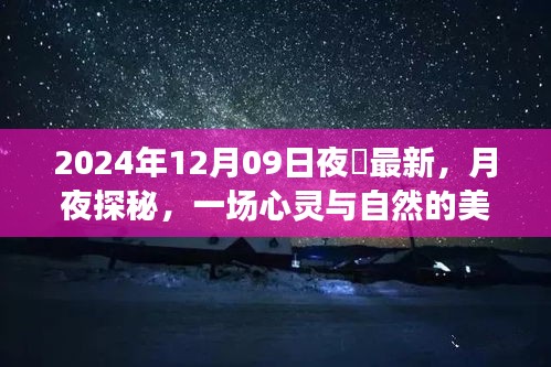 月夜探秘，心靈與自然的邂逅——記2024年12月09日夜廻之旅