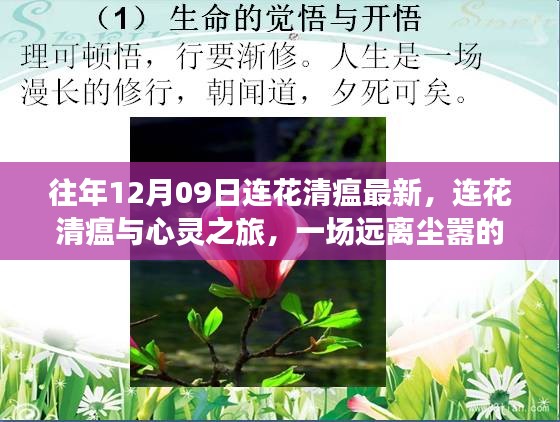 連花清瘟與心靈之旅，遠(yuǎn)離塵囂的奇妙探險(xiǎn)之旅