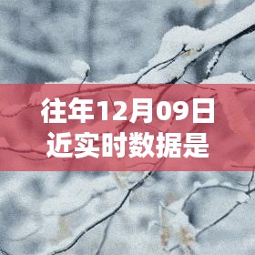 往年12月9日數(shù)據(jù)的魔法，溫馨回憶中的實(shí)時(shí)時(shí)光