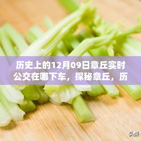 探秘章丘，歷史深處的公交軌跡與小巷美食寶藏——12月9日實(shí)時(shí)公交指南