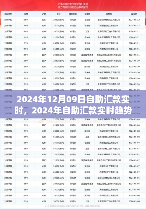 自助匯款實時趨勢下的金融革新，機遇與挑戰(zhàn)并存（2024年12月09日）