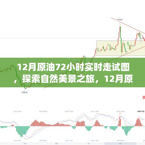 揭秘原油走勢圖背后的故事，探尋自然美景之旅的實時追蹤報告