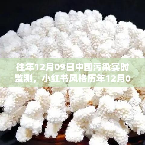 歷年12月09日中國污染實時監(jiān)測，小紅書風(fēng)格下的藍(lán)天綠水守護(hù)共同責(zé)任