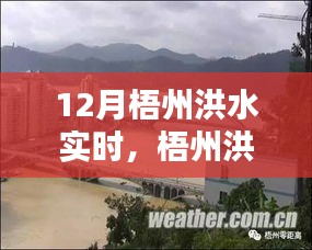 梧州洪水實(shí)時(shí)監(jiān)測(cè)，系統(tǒng)深度評(píng)測(cè)、特性、體驗(yàn)、競(jìng)品對(duì)比及用戶分析