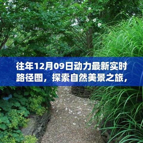 往年12月09日動(dòng)力路徑圖，自然美景探索之旅的寧?kù)o與和諧體驗(yàn)
