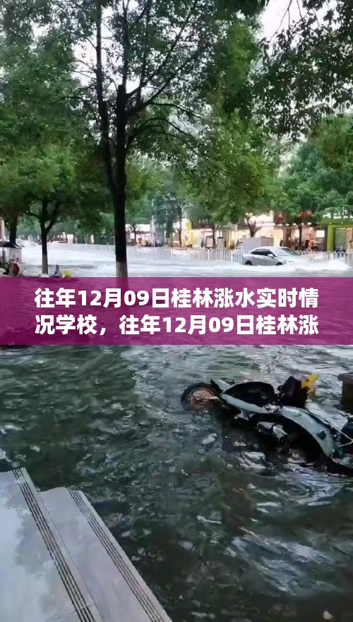 feiqigouhuo 第4頁