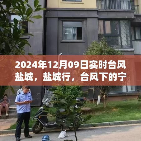 臺(tái)風(fēng)下的鹽城探尋之旅，自然之美與內(nèi)心寧靜的交融之路（實(shí)時(shí)更新）