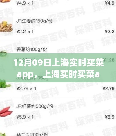 上海實時買菜app使用指南，從初學(xué)者到進(jìn)階用戶的全方位指南（12月09日版）