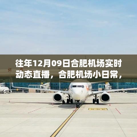 云端下的溫馨相遇，合肥機(jī)場(chǎng)12月9日實(shí)時(shí)動(dòng)態(tài)直播小日常