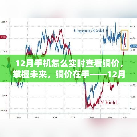 12月實(shí)時(shí)銅價(jià)監(jiān)控，掌握未來(lái)，擁抱變化！