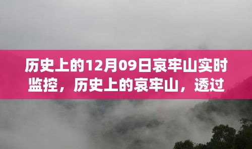 哀牢山歷史監(jiān)控實錄，透過實時影像一窺昔日風(fēng)采