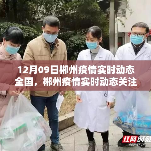 12月09日郴州疫情實(shí)時(shí)動(dòng)態(tài)關(guān)注指南，全國(guó)疫情動(dòng)態(tài)及初學(xué)者快速掌握方法