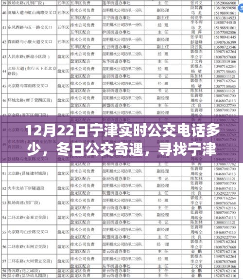 冬日寧津公交奇遇，尋找實時熱線，體驗溫暖的公交服務
