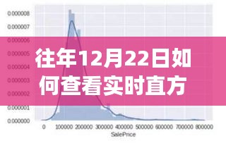 冬至日探索自然美景，實(shí)時(shí)直方圖下的心靈之旅與魔力探索
