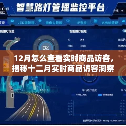 揭秘十二月實時商品訪客洞察，洞悉訪客動態(tài)與商業(yè)進展的秘訣